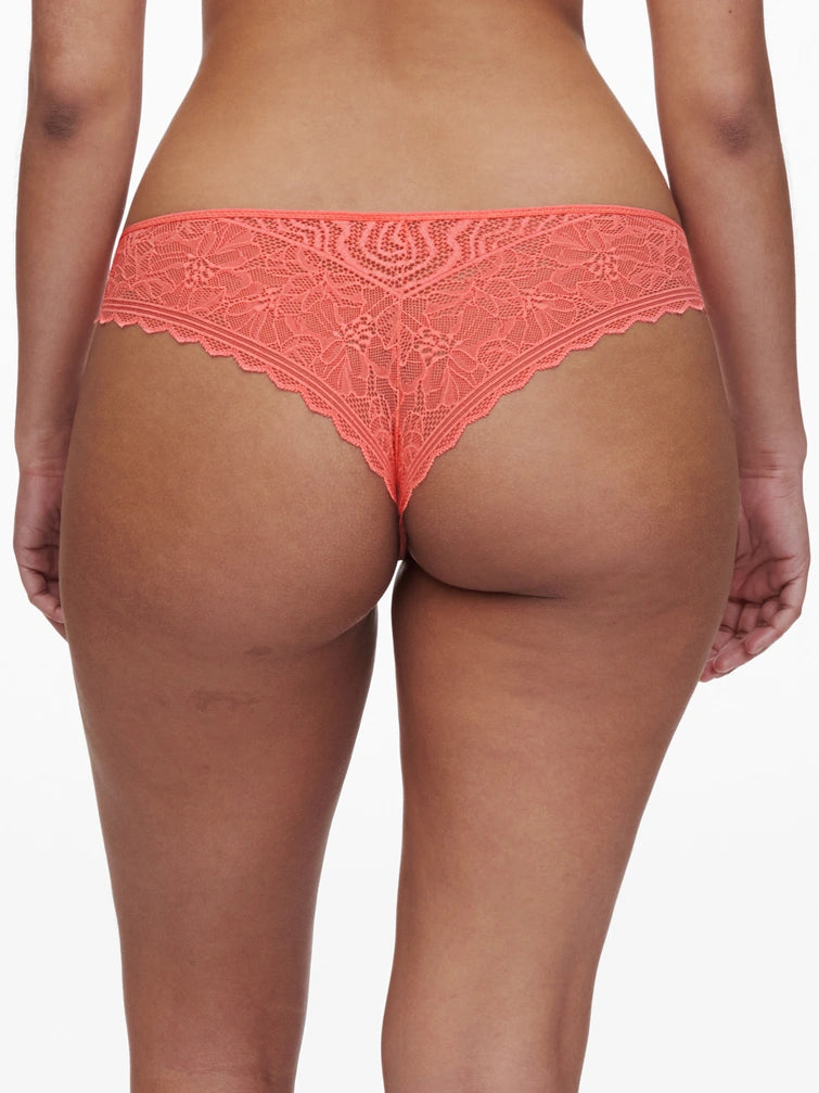 Tanga, Floral Touch