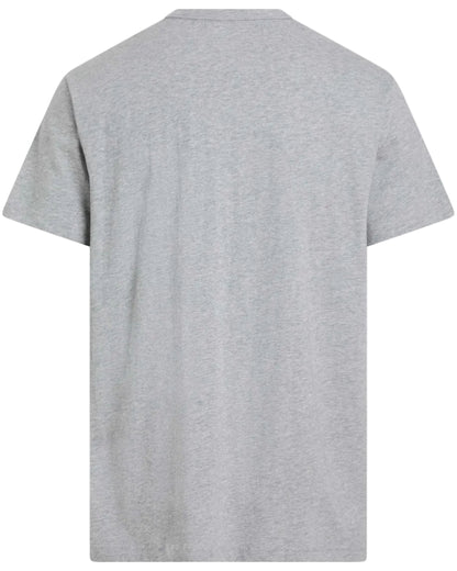 T-skjorte Calvin Klein grey grå cotton logo classic, Frilin mann herre undertøy underwear
